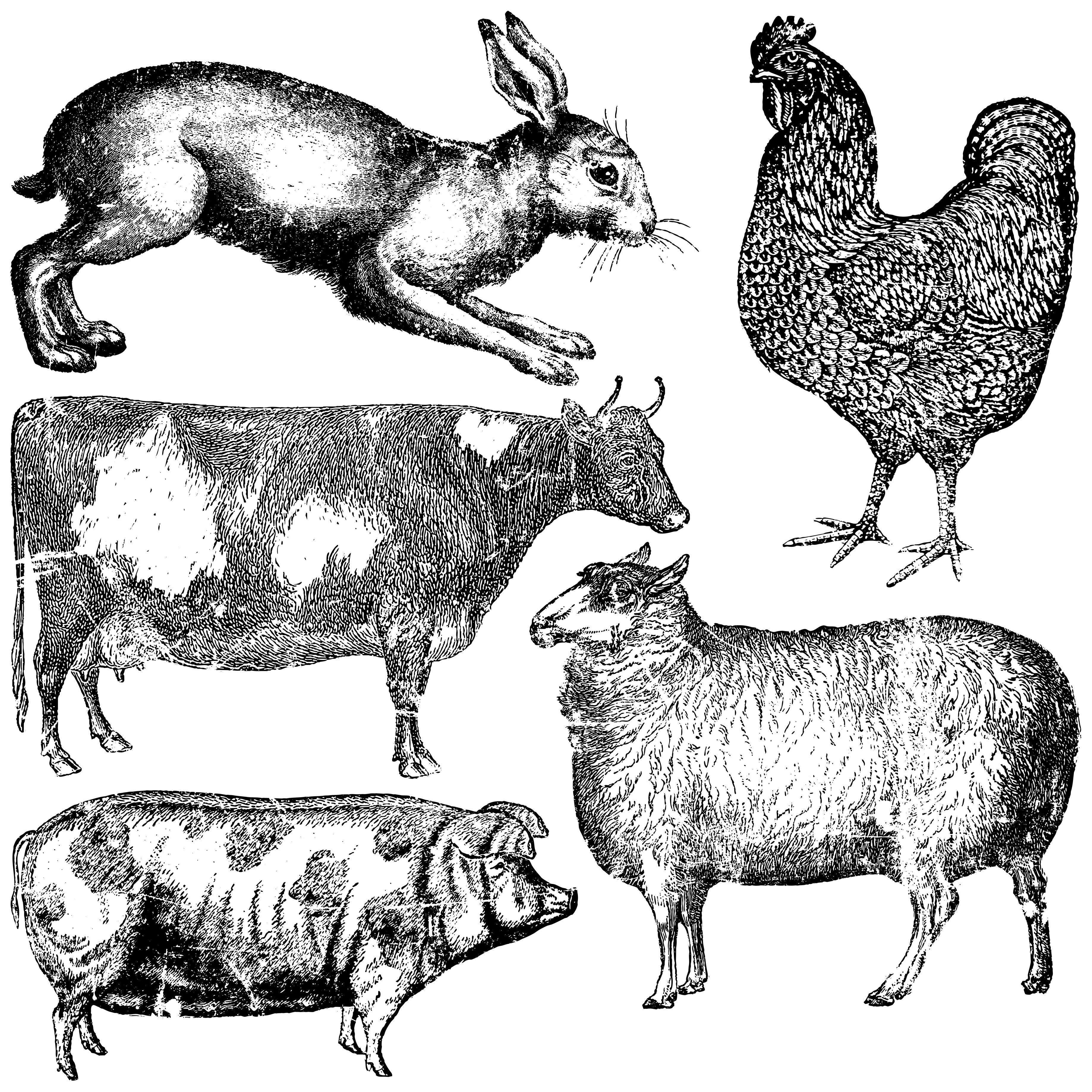 Farm Animals 12x12 Decor Stamp™ - The Weathered Shed