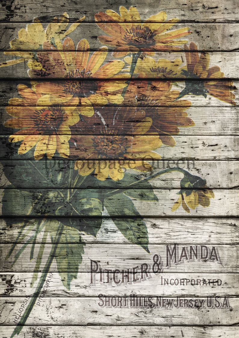 Pitcher and Manda - Decoupage Paper
