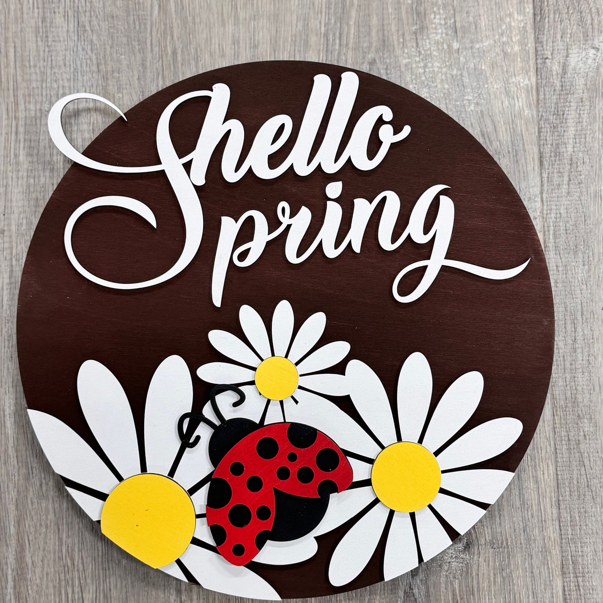 Hello Daisy Spring DIY Kit - Hello Spring Daisies & Lady Bug – The Weathered Shed