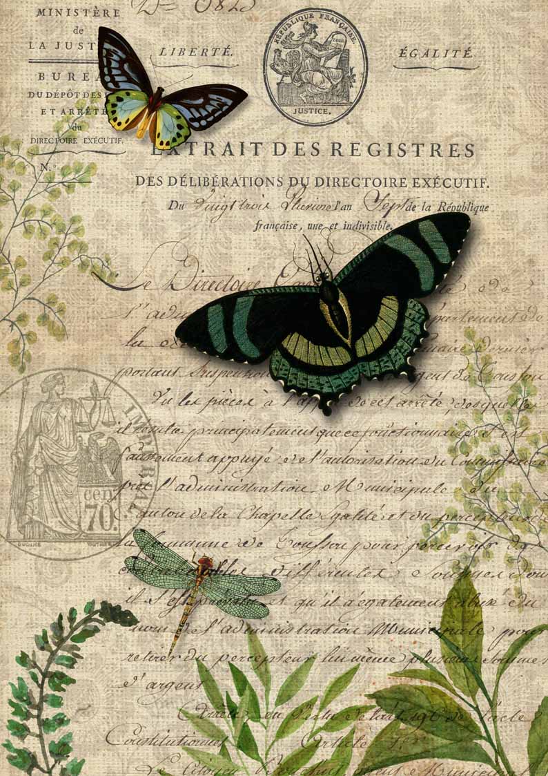 Butterfly Botanical - Decoupage Paper