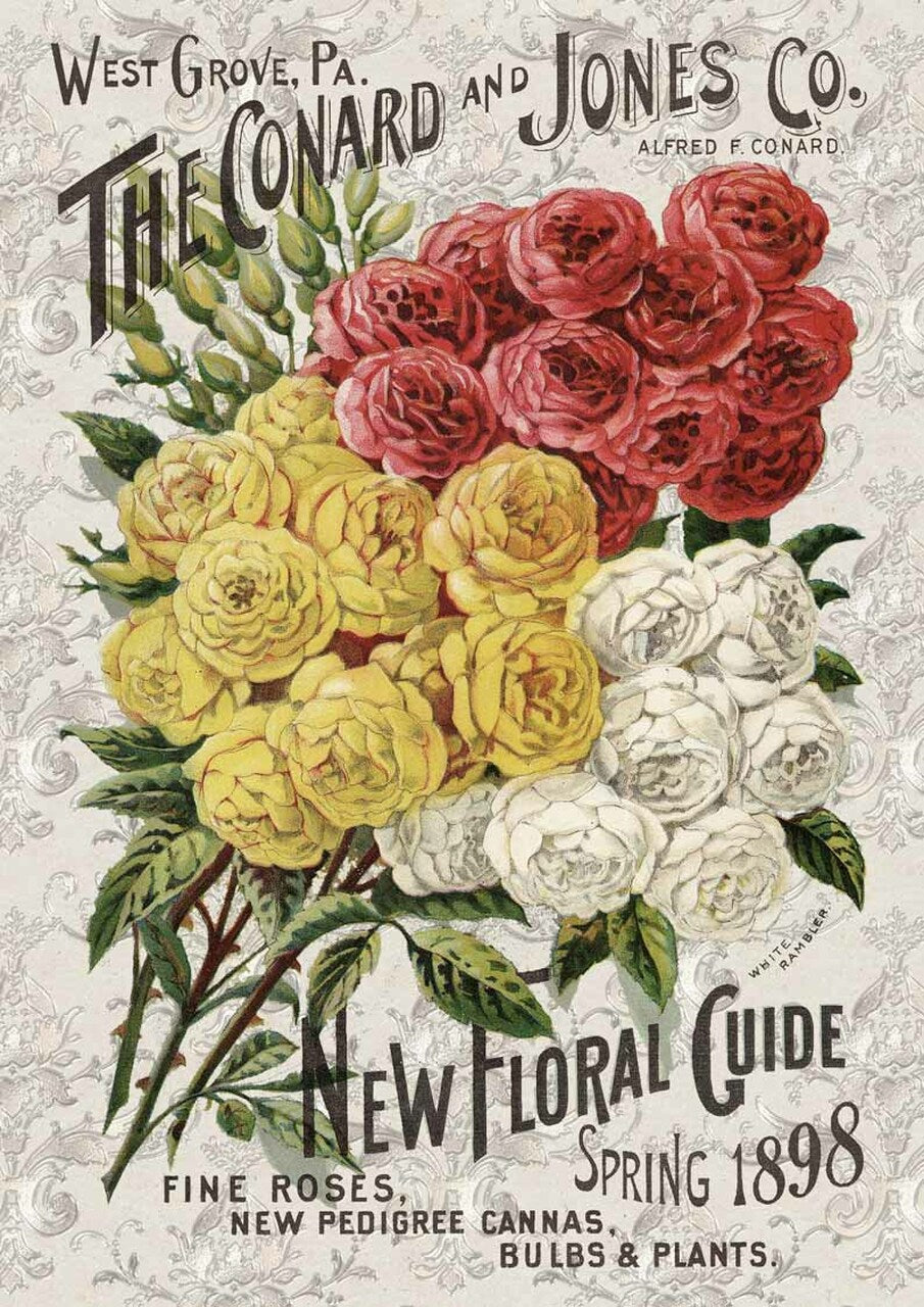 Roses Catalog (Retiring) - Decoupage Paper