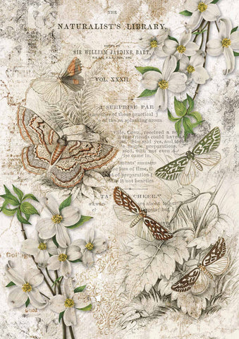 Naturalist Library - Decoupage Paper
