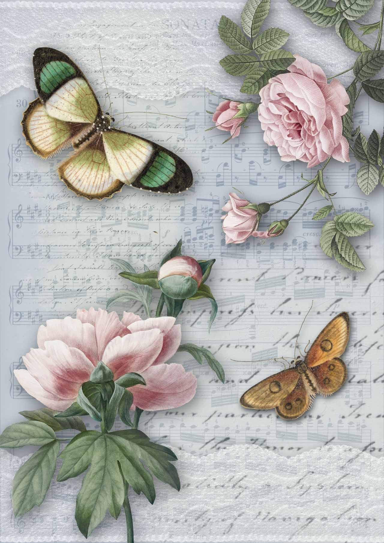 Summer Song - Decoupage Paper