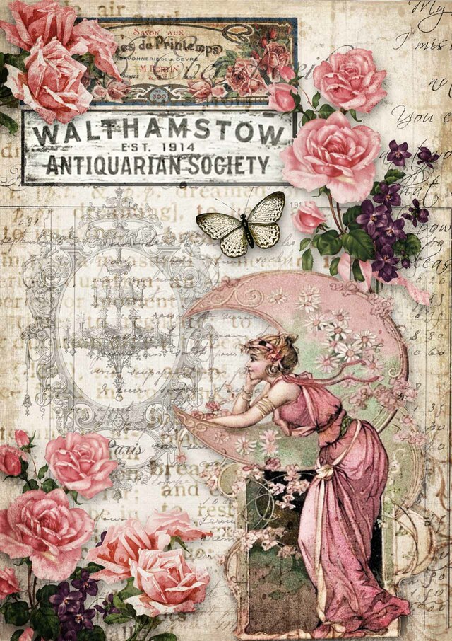 Antiquarian Society - Decoupage Paper