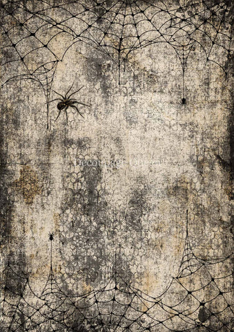 Webs and Spiders - Decoupage Paper