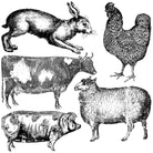 Farm Animals 12x12 Decor Stamp™ - The Weathered Shed