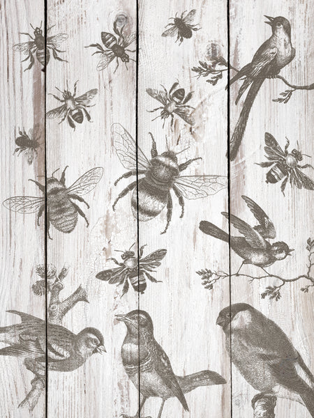 Birds & Bees 12x12 Decor Stamp