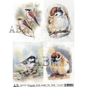 Watercolor Birds - Decoupage Paper